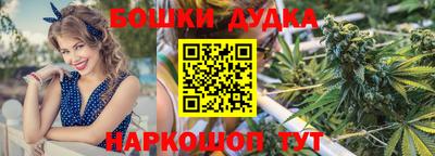 прущие крисы Обь