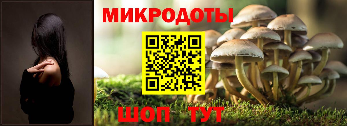 Галлюциногенные грибы мицелий Урюпинск
